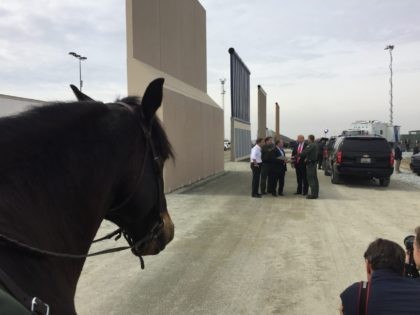 Horse at border wall prototype (Joel Pollak / Breitbart News)