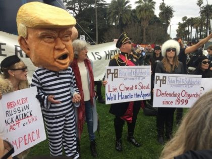 Anti-Trump Protest in Beverly Hills (Joel Pollak / Breitbart News)