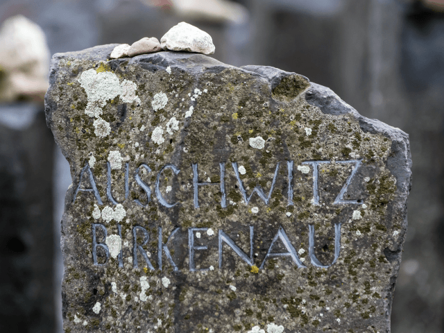Stones lie on a Auschwitz-Birkenau memorial stone on occasion of the international Holocau