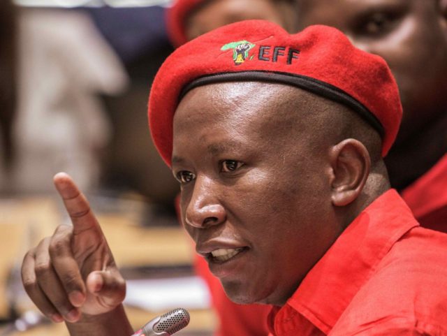 Julius Malema (Gianluigi Guercia / AFP / Getty)