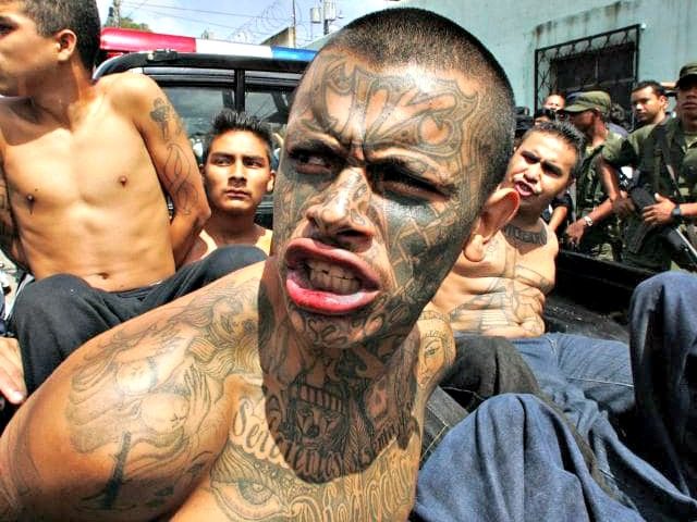 MS-13 gang member