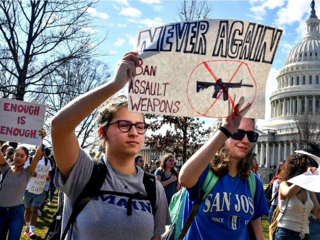 Student Gun Protes