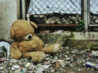 Teddy Bear