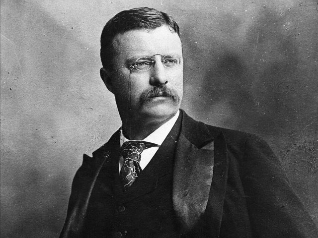 Theodore Roosevelt (1858 - 1919) 26th President of the United States of America. Original