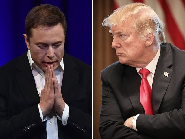 Elon Musk and President Donald Trump.