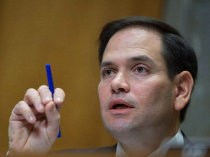 Senator Marco Rubio (R-FL) spekas during a foreign relations hearing in Washington, DC on