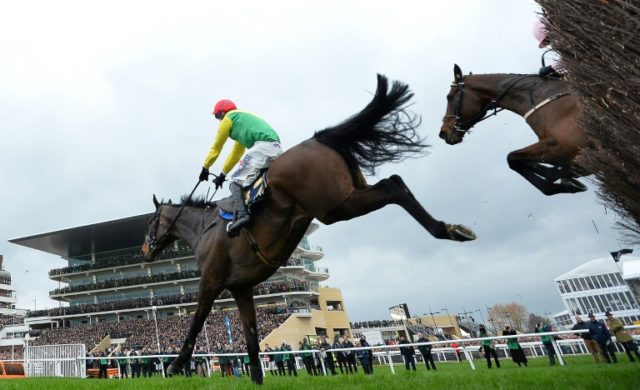 Sizing John out of Cheltenham Gold Cup