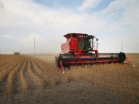A retaliatory tariff imposed by China on soybeans could leave American producers in traditionally Republican states smarting Trump's tough trade moves could backfire in Trump country