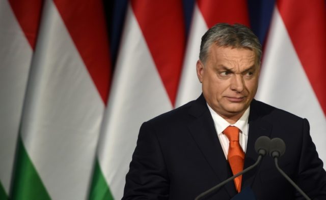 Hungary's NGOs fear for future under Orban