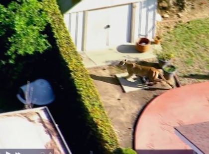 The Associated Press