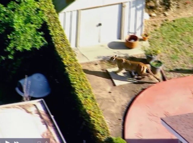 The Associated Press