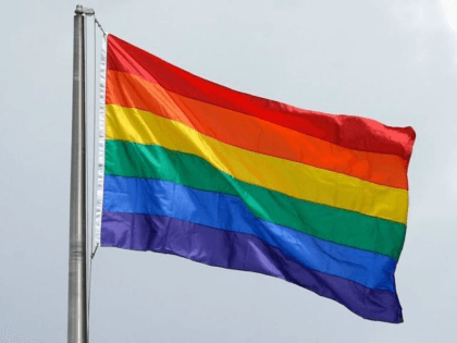 AP Ted S. Rainbow Flag