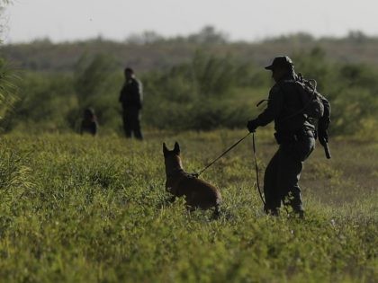 In this Aug. 11, 2017, photo U.S. Customs and Border Patrol agents pursue a group of immig