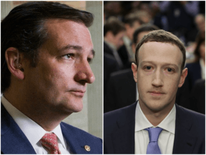 Cruz_Zuck