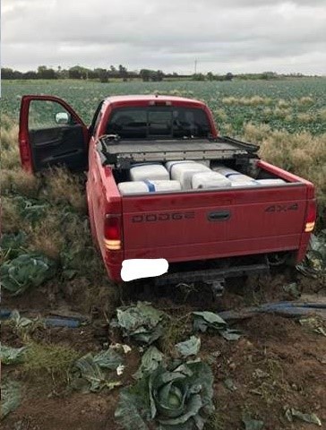 Fort Brown Border Patrol agents find a pickup truck loaded with nearly 600 pounds of marijuana stuck in a field near the Rio Grande River. (Photo: U.S. Border Patrol)