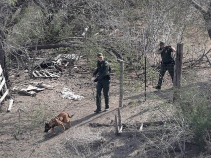 MCALLEN, TX - FEBRUARY 21: A U.S. Border Patrol K-9 unit tracks a group of undocumented i