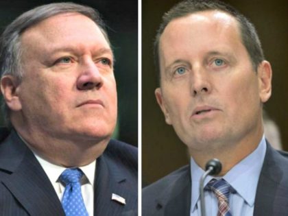 Mike Pompeo and Richard Grenell