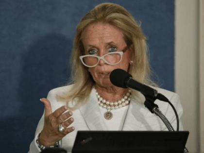 WASHINGTON, DC - SEPTEMBER 13: Rep. Debbie Dingell (D-MI) speaks at a news conference held by Save the US EPA September 13, 2017 in Washington, DC. Activists are speaking out against cutbacks at the EPA instituted by the Trump administration.(Photo by Aaron P. Bernstein/Getty Images)
