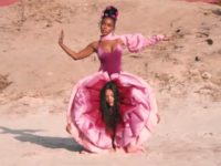 janelle-monae-pynk-tessa-thompson janelle-monae-pynk-tessa-thompson