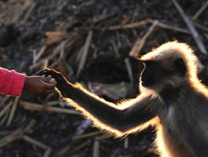 MANJUNATH KIRAN/AFP/Getty Images