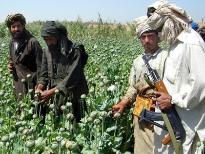 **FILE** A Taliban militant is seen with an AK- 47 rifle gun, right, as farmers collect resin from poppies in an opium poppy field in Naway district of Helmand province, southwest Afghanistan in a Friday, April 25, 2008 file photo. Drought and anti-drug campaigns helped slash Afghanistan's opium poppy cultivation …