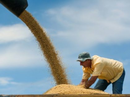 China to hit US soybeans, cars, planes with retaliatory tariffs