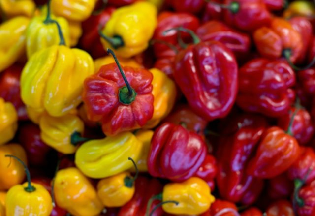 World's hottest chilli pepper gives man 'thunderclap' headaches