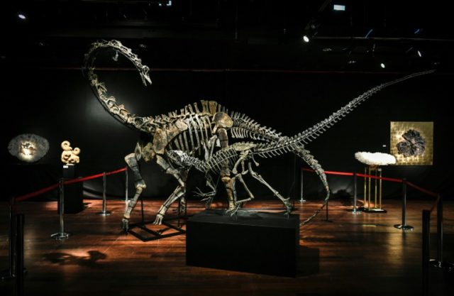 Two dinosaurs fetch over 1.4 million euros each in Paris sale