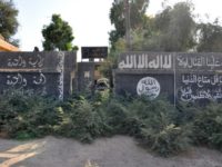Surprise IS attack kills 25 regime forces in east Syria: monitor