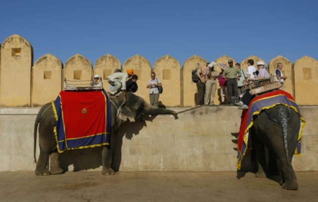 Blind elephants used by tourists at popular Indian fort: PETA