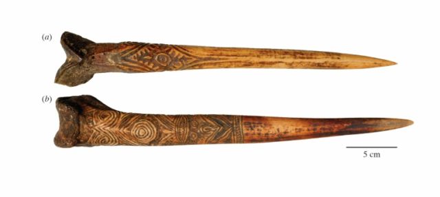 In New Guinea, human thigh bone daggers were hot property: study