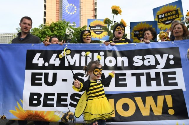 EU to ban bee-killing pesticides
