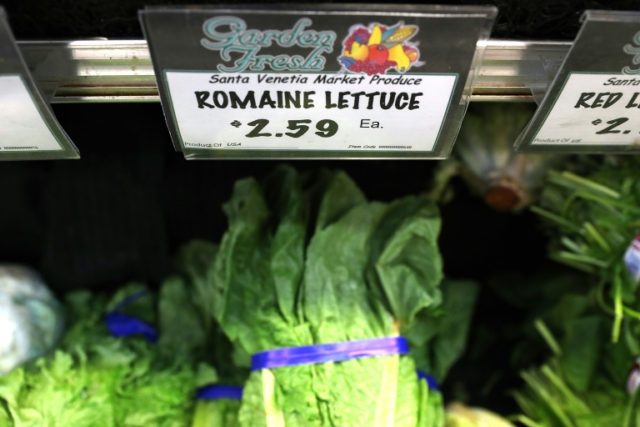Tainted lettuce in US sickens 98