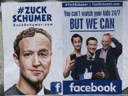 #ZuckSchumer art by Sabo