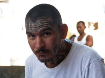 MS-13 Gang Member - File Photo: Getty Images