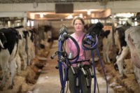 dairy amnesty