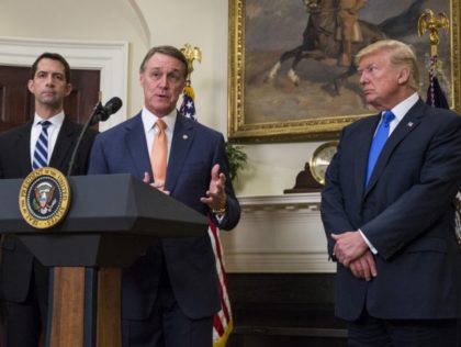 WASHINGTON, DC - AUGUST 2: (AFP OUT) Sen. David Perdue (R-GA) makes an announcement on the