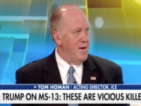 ICE Chief Tom Homan