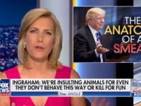 Ingraham518