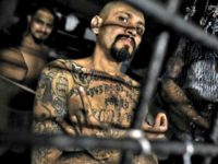 MS-13 gang member Jan SochorLatinContentGetty Images MS-13 gang member