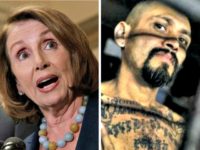Pelosi, MS 13 AP Pelosi, MS 13