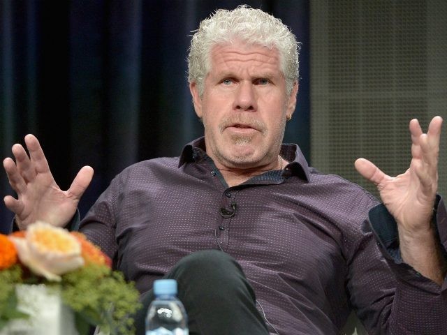 Actor Ron Perlman speaks onstage during the 'Hand Of God' panel discussion at th