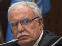 Riad Malki Palestinian Foreign Minister Riad Malki attends UN international meeting in support of Israeli- Palestinian peace in Moscow, Russia, Wednesday, July 1, 2015. (AP Photo/Ivan Sekretarev)