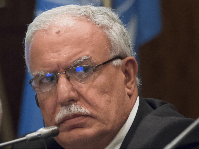 Palestinian Foreign Minister Riad Malki attends UN international meeting in support of Isr