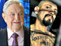 Soros, MS-13-gang-member AP:Getty Photos Soros, MS-13-gang-member
