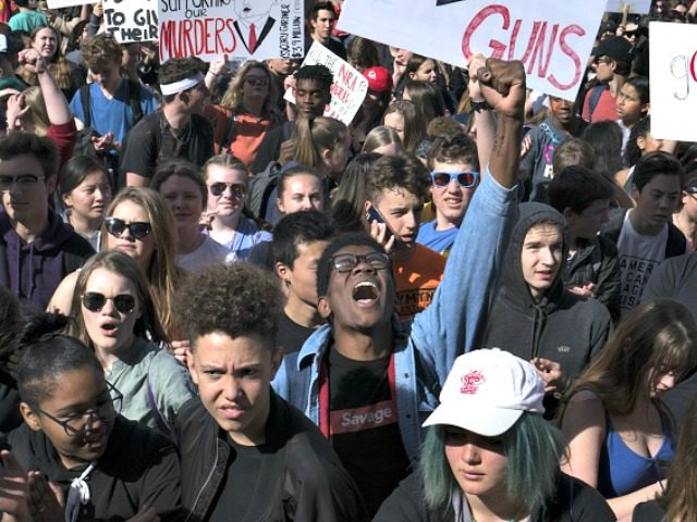 Student Gun Protest