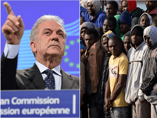 avramopoulos and migrants