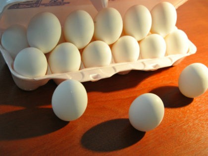 Eggs sit in an egg carton in Washington, DC, August 19, 2010. A US egg producer has recalled more than 380 million chicken eggs in eight states apparently contaminated with salmonella bacteria after hundreds of people have become sick, according to the US Food and Drug Administration (FDA). AFP PHOTO …