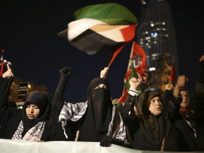Protesters, one waving a Palestinian flag, chant slogans during a demonstration near Israe