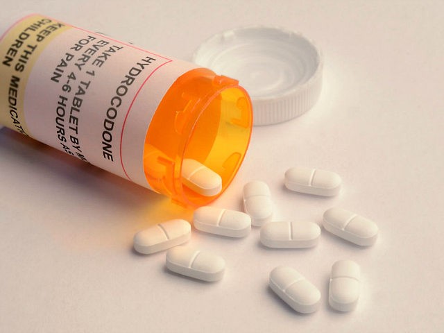 Close-up of an opened prescription bottle, labelled as containing the opioid hydrocodone,